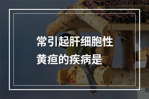 常引起肝细胞性黄疸的疾病是