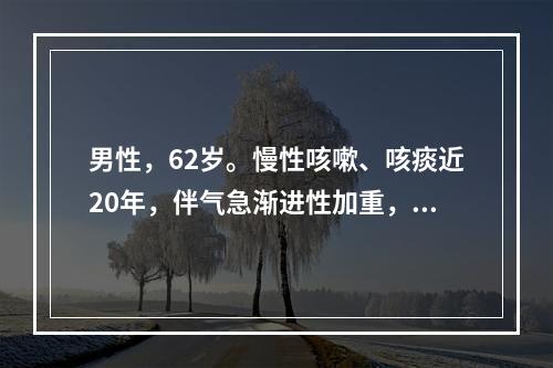 男性，62岁。慢性咳嗽、咳痰近20年，伴气急渐进性加重，平地