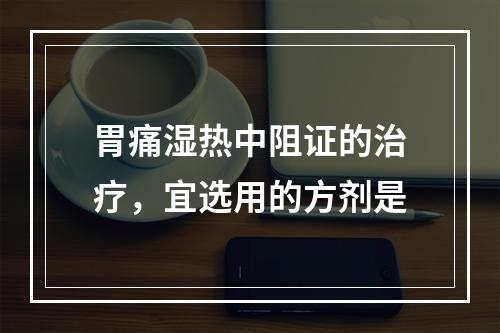 胃痛湿热中阻证的治疗，宜选用的方剂是