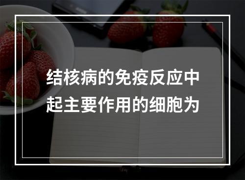 结核病的免疫反应中起主要作用的细胞为