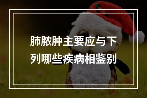 肺脓肿主要应与下列哪些疾病相鉴别