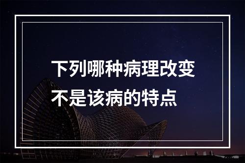 下列哪种病理改变不是该病的特点