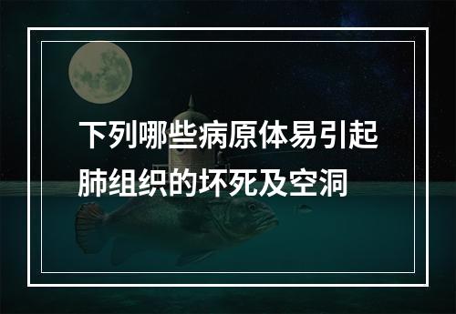 下列哪些病原体易引起肺组织的坏死及空洞