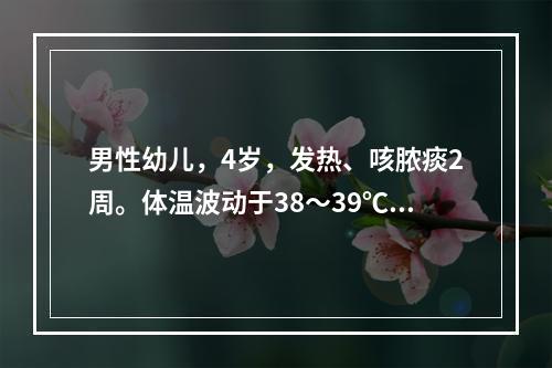 男性幼儿，4岁，发热、咳脓痰2周。体温波动于38～39℃。X