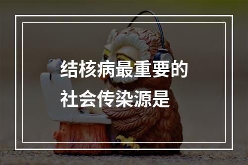 结核病最重要的社会传染源是