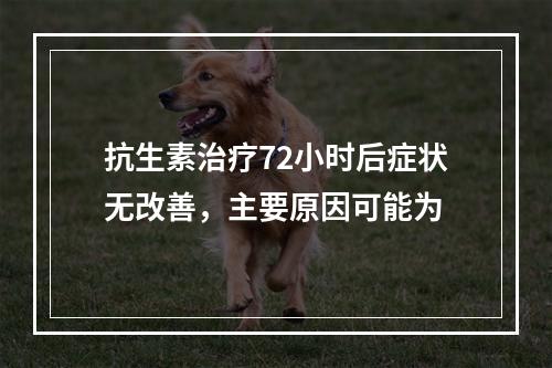 抗生素治疗72小时后症状无改善，主要原因可能为