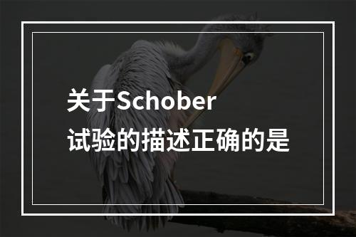 关于Schober试验的描述正确的是