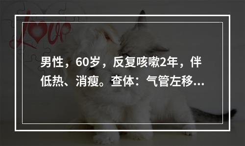 男性，60岁，反复咳嗽2年，伴低热、消瘦。查体：气管左移，左