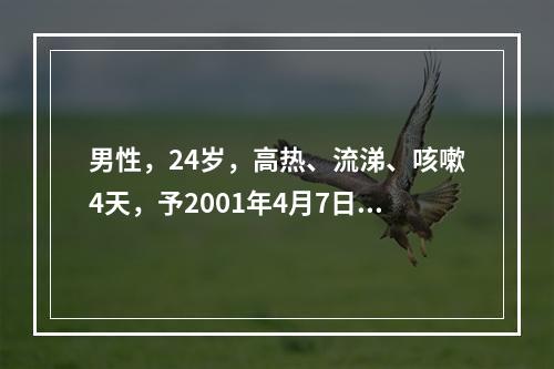 男性，24岁，高热、流涕、咳嗽4天，予2001年4月7日入院