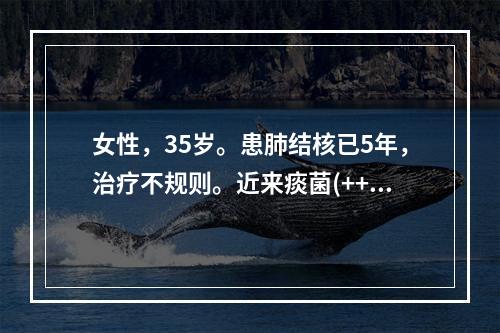 女性，35岁。患肺结核已5年，治疗不规则。近来痰菌(++)，