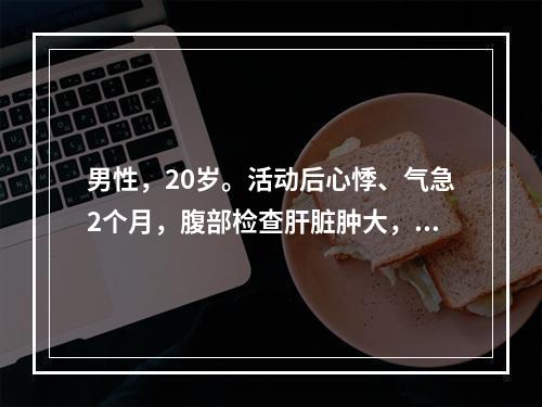 男性，20岁。活动后心悸、气急2个月，腹部检查肝脏肿大，质地