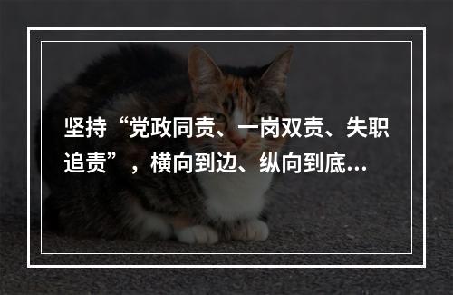 坚持“党政同责、一岗双责、失职追责”，横向到边、纵向到底，并