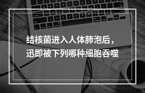 结核菌进入人体肺泡后，迅即被下列哪种细胞吞噬