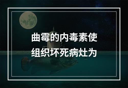 曲霉的内毒素使组织坏死病灶为