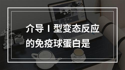 介导Ⅰ型变态反应的免疫球蛋白是