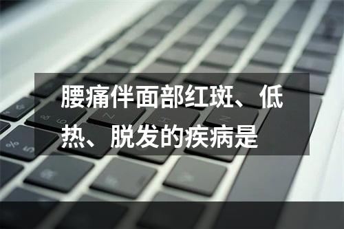 腰痛伴面部红斑、低热、脱发的疾病是