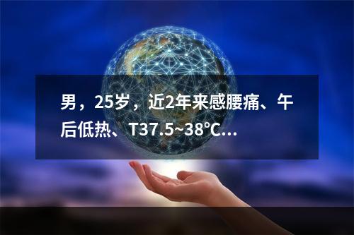 男，25岁，近2年来感腰痛、午后低热、T37.5~38℃，盗