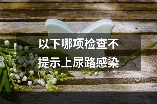 以下哪项检查不提示上尿路感染