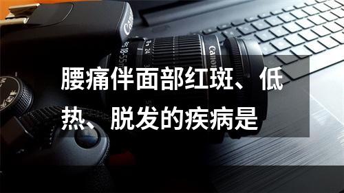 腰痛伴面部红斑、低热、脱发的疾病是