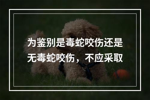 为鉴别是毒蛇咬伤还是无毒蛇咬伤，不应采取