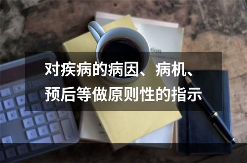 对疾病的病因、病机、预后等做原则性的指示