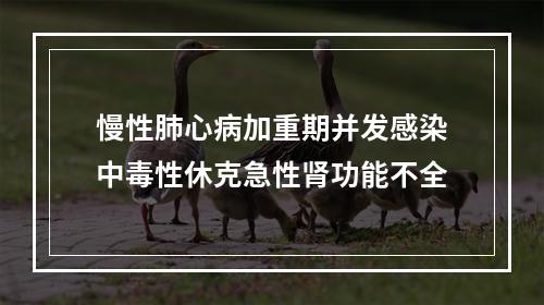 慢性肺心病加重期并发感染中毒性休克急性肾功能不全