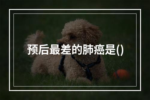 预后最差的肺癌是()