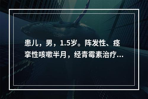 患儿，男，1.5岁。阵发性、痉挛性咳嗽半月，经青霉素治疗疗效