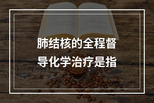 肺结核的全程督导化学治疗是指