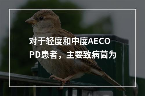 对于轻度和中度AECOPD患者，主要致病菌为