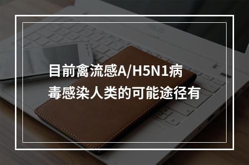 目前禽流感A/H5N1病毒感染人类的可能途径有