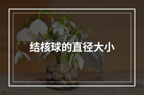 结核球的直径大小