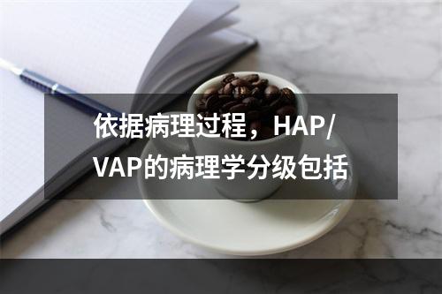 依据病理过程，HAP/VAP的病理学分级包括