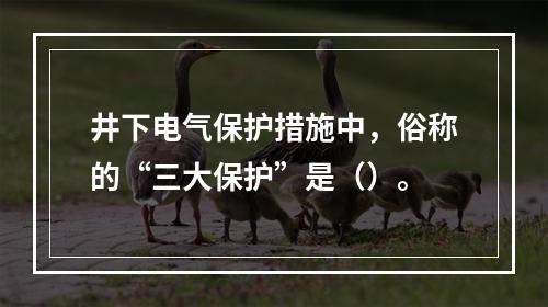 井下电气保护措施中，俗称的“三大保护”是（）。