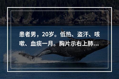 患者男，20岁。低热、盗汗、咳嗽、血痰一月。胸片示右上肺小片