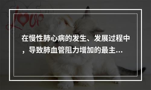 在慢性肺心病的发生、发展过程中，导致肺血管阻力增加的最主要因