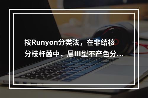 按Runyon分类法，在非结核分枝杆菌中，属Ⅲ型不产色分枝杆