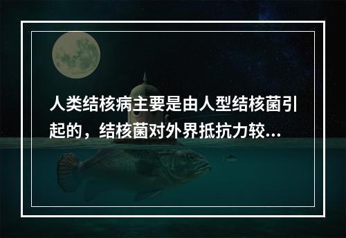 人类结核病主要是由人型结核菌引起的，结核菌对外界抵抗力较强，