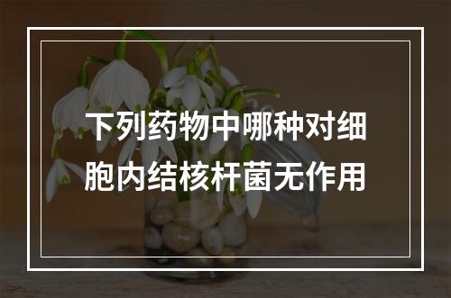 下列药物中哪种对细胞内结核杆菌无作用