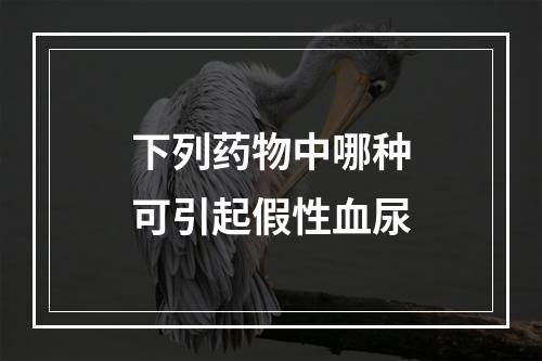 下列药物中哪种可引起假性血尿