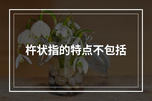 杵状指的特点不包括