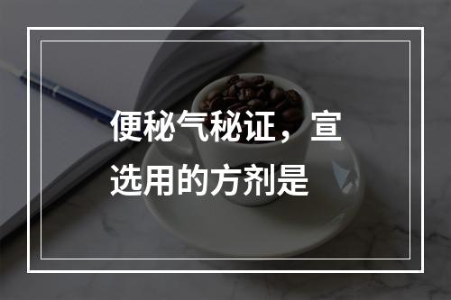 便秘气秘证，宣选用的方剂是