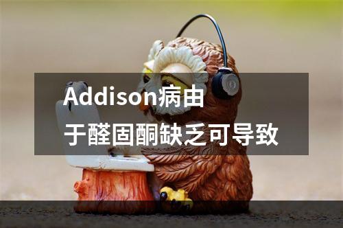 Addison病由于醛固酮缺乏可导致