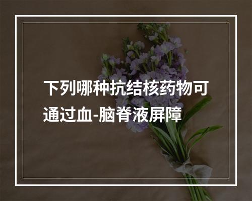 下列哪种抗结核药物可通过血-脑脊液屏障