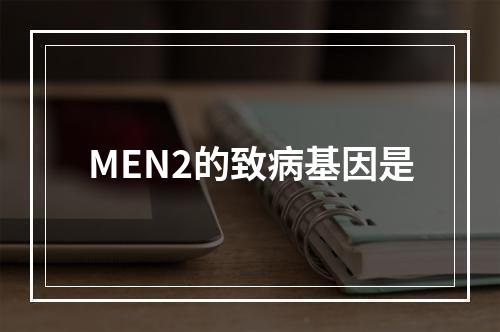 MEN2的致病基因是