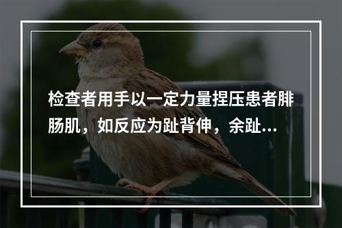 检查者用手以一定力量捏压患者腓肠肌，如反应为趾背伸，余趾呈扇