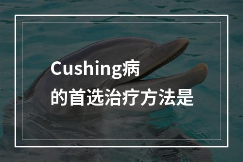 Cushing病的首选治疗方法是