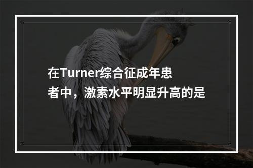 在Turner综合征成年患者中，激素水平明显升高的是