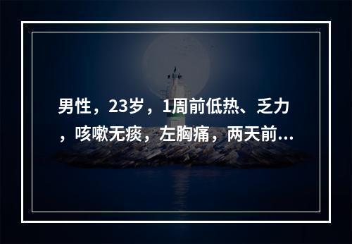 男性，23岁，1周前低热、乏力，咳嗽无痰，左胸痛，两天前左胸