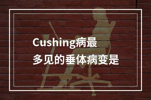 Cushing病最多见的垂体病变是